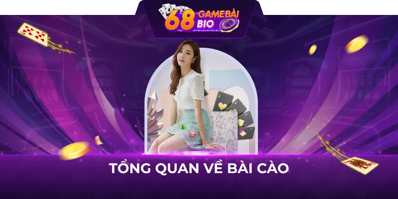 Tổng quan về bài cào