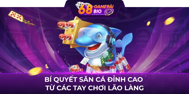 Bí quyết săn cá đỉnh cao từ các tay chơi lão làng